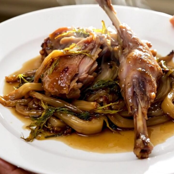 A close-up of tender, slow-cooked rabbit pieces with caramelized fennel served on a white plate.
