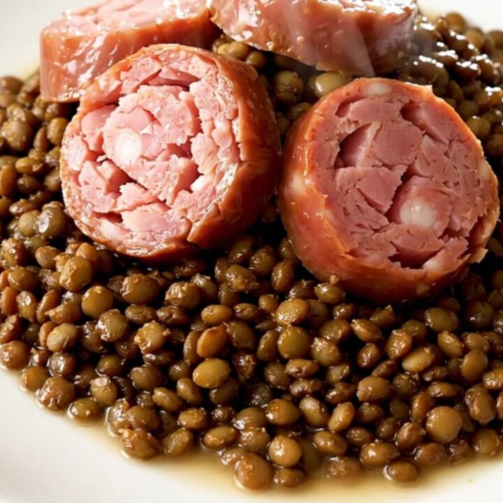 A rustic bowl of slow-cooked Lyonnais sausage and green lentils served on a white plate.