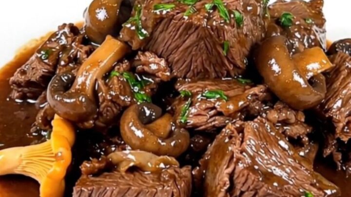 A close-up of a steaming bowl of forest beef bourguignon with chanterelles.