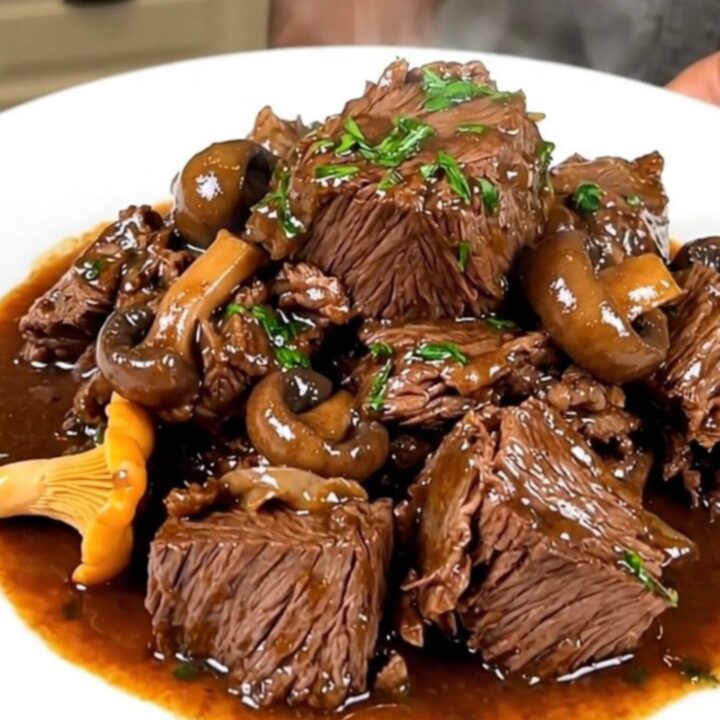 A close-up of a steaming bowl of forest beef bourguignon with chanterelles.