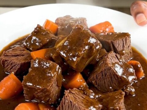 A steaming bowl of red wine braised beef stew with carrots and onions on a white plate.
