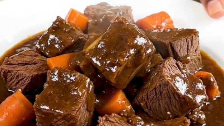 A steaming bowl of red wine braised beef stew with carrots and onions on a white plate.