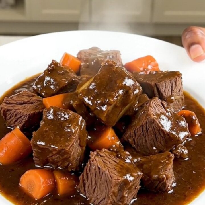 A steaming bowl of red wine braised beef stew with carrots and onions on a white plate.