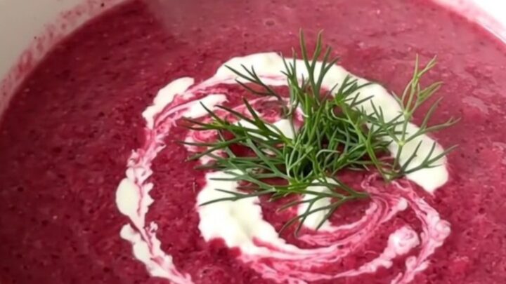 A steaming white bowl of vibrant magenta beet and potato velouté with a swirl of cream and fresh dill.
