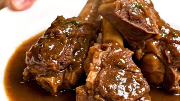 Vue plongeante sur un tajine d'agneau aux navets et safran dans une mijoteuse sur un plan de travail en quartz