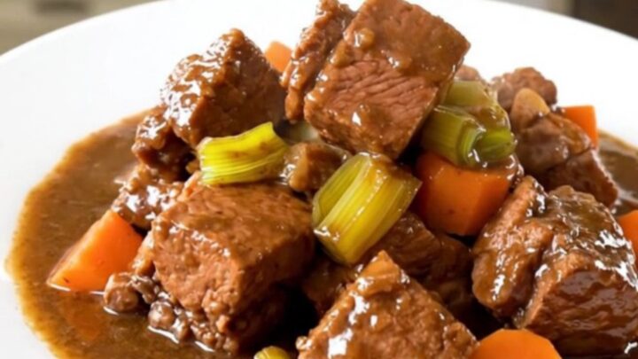 A white plate featuring tender chunks of slow-cooked pork stew with sliced leeks and carrots in a rich, glossy broth.