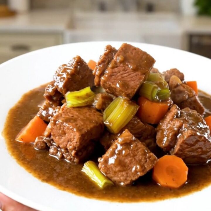 A white plate featuring tender chunks of slow-cooked pork stew with sliced leeks and carrots in a rich, glossy broth.