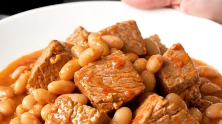 A rustic, steaming bowl of slow-cooked pork shoulder with tender white beans and a rich tomato sauce.