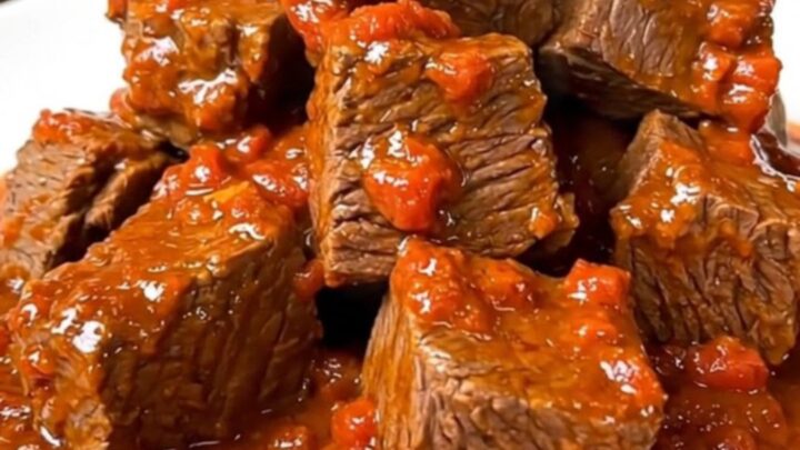 Bœuf mijoté fondant dans une sauce tomate riche avec des feuilles de basilic frais sur une assiette blanche.