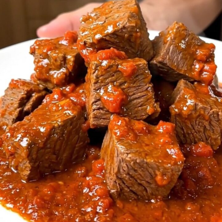 Bœuf mijoté fondant dans une sauce tomate riche avec des feuilles de basilic frais sur une assiette blanche.