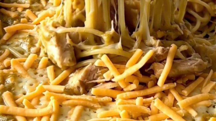 A top-down view of an unbaked spaghetti dish with chicken and creamy sauce, topped with shredded cheddar cheese.