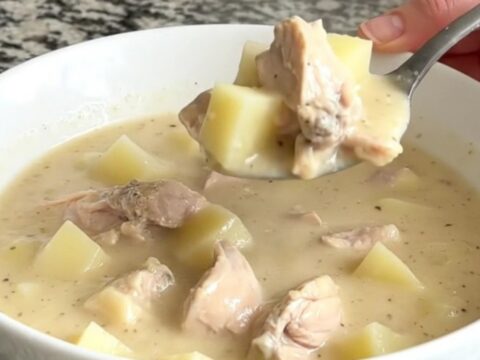 A bowl of creamy chicken alfredo soup with tender chicken and potato chunks.