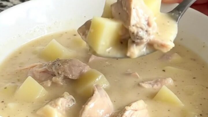 A bowl of creamy chicken alfredo soup with tender chicken and potato chunks.