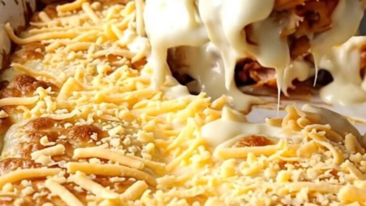 A top-down view of a rectangular baking dish filled with cheesy chicken burritos.