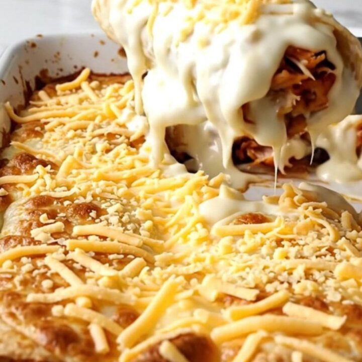 A top-down view of a rectangular baking dish filled with cheesy chicken burritos.