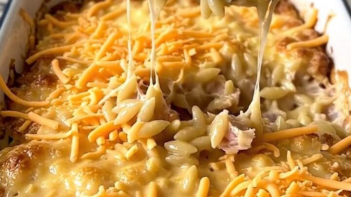 A top-down view of a creamy cheeseburger turkey orzo bake in a white rectangular baker on a granite surface.