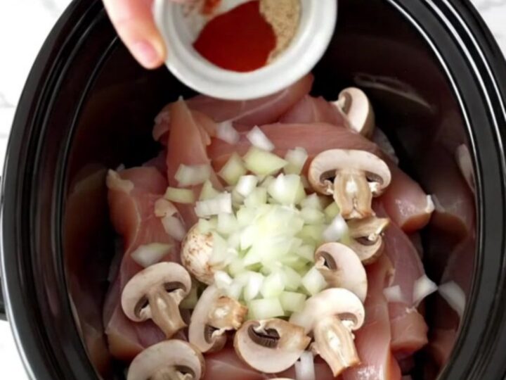 A white plate filled with creamy chicken stroganoff, showing tender chicken strips and sliced mushrooms in a rich sauce.
