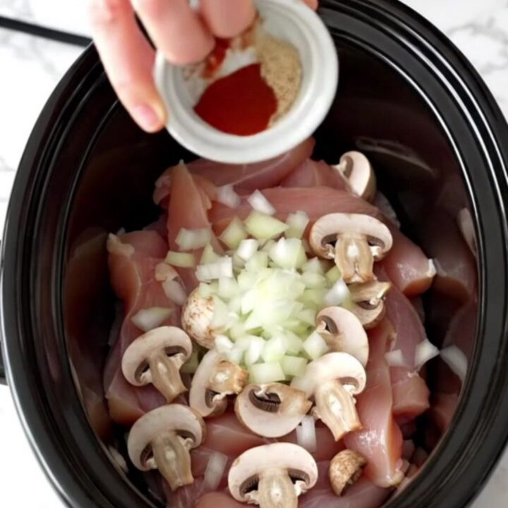 A white plate filled with creamy chicken stroganoff, showing tender chicken strips and sliced mushrooms in a rich sauce.