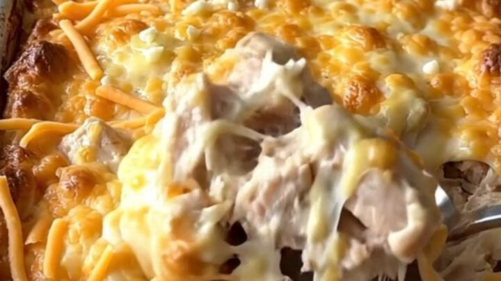 A top-down view of a creamy chicken and shells bake in a white baking dish on a wooden surface.