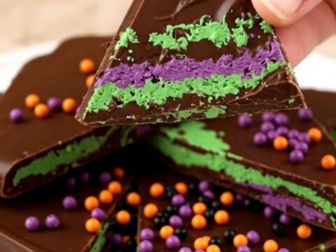 A close-up of broken shards of dark chocolate bark swirled with green and purple candy and festive sprinkles.