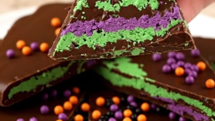 A close-up of broken shards of dark chocolate bark swirled with green and purple candy and festive sprinkles.