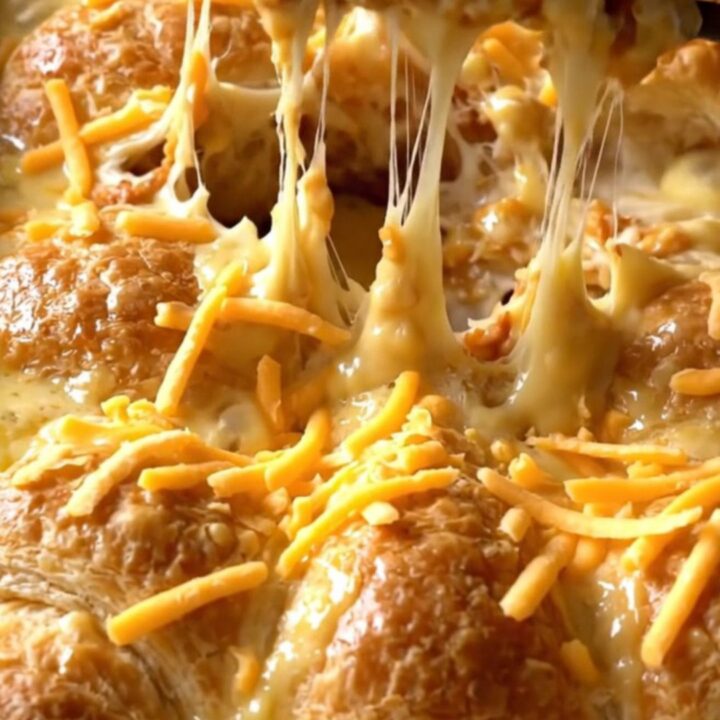 A golden, bubbling tray of creamy chicken-stuffed crescent rolls fresh from the oven.