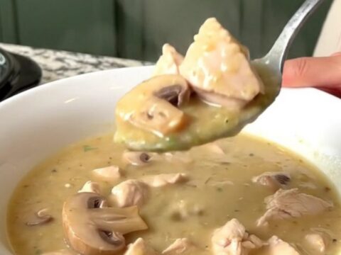 A warm, creamy bowl of chicken stroganoff soup with visible pieces of chicken and mushrooms.