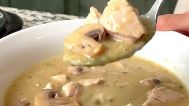 A warm, creamy bowl of chicken stroganoff soup with visible pieces of chicken and mushrooms.