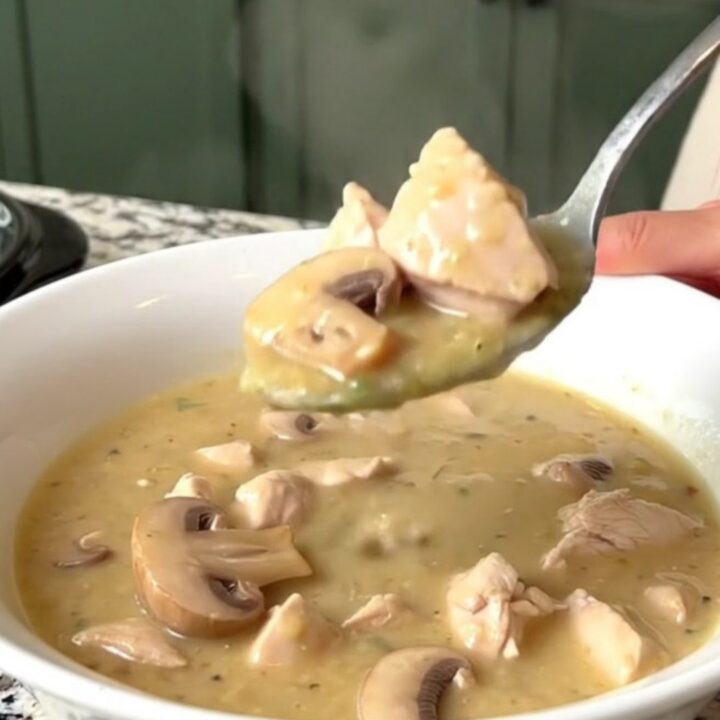A warm, creamy bowl of chicken stroganoff soup with visible pieces of chicken and mushrooms.