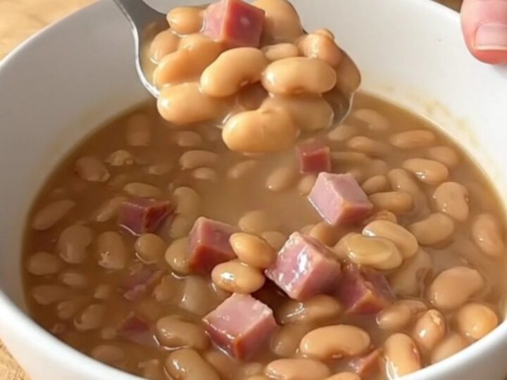 A rustic bowl of creamy Southern pinto beans with tender ham cubes and a light garnish.