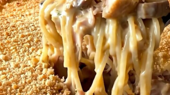 A top-down view of a creamy turkey tetrazzini bake in a white ceramic dish with a golden breadcrumb crust.