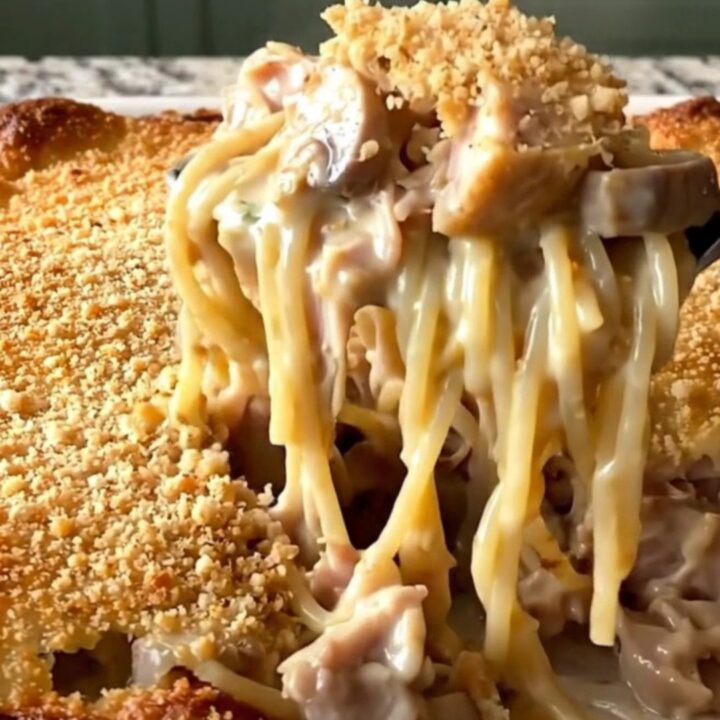 A top-down view of a creamy turkey tetrazzini bake in a white ceramic dish with a golden breadcrumb crust.