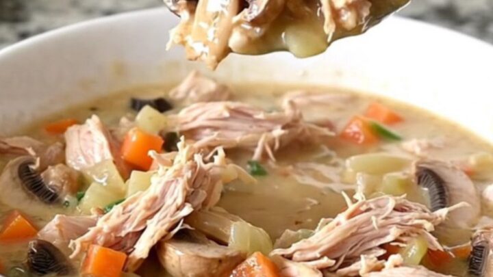 A top-down view of a slow cooker filled with creamy ground turkey and mushroom stroganoff stew.