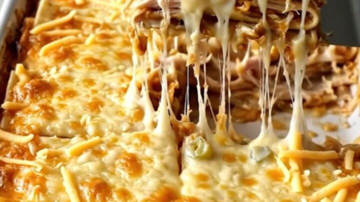 A top-down view of a creamy chicken enchilada casserole in a white ceramic baking dish before baking.