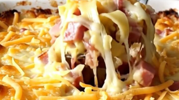 A top-down view of a creamy ham and Swiss noodle bake in a white ceramic dish, ready for the oven.