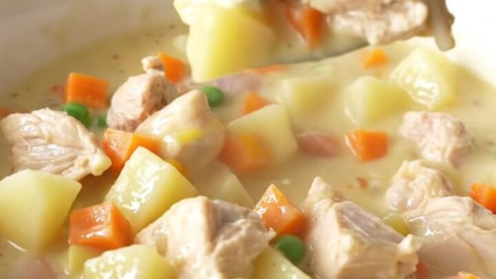 A close-up shot of the creamy chicken and vegetable stew in a white bowl with steam rising.