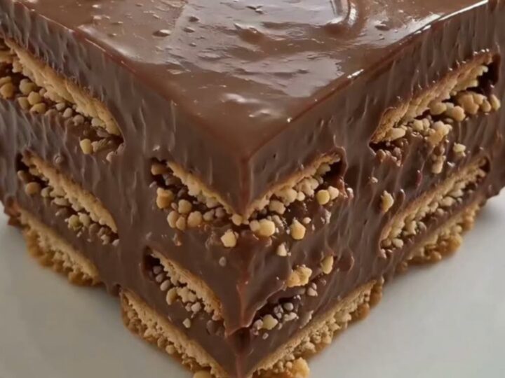 A perfectly square slice of chocolate icebox cake on white china showing distinct layers of biscuits and chocolate.