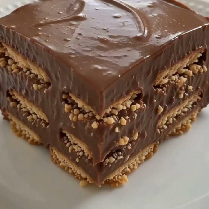 A perfectly square slice of chocolate icebox cake on white china showing distinct layers of biscuits and chocolate.