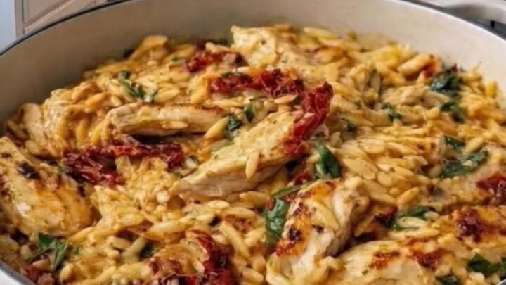 A large white pot filled with creamy orzo, seared golden chicken pieces, sun-dried tomatoes, and wilted spinach.