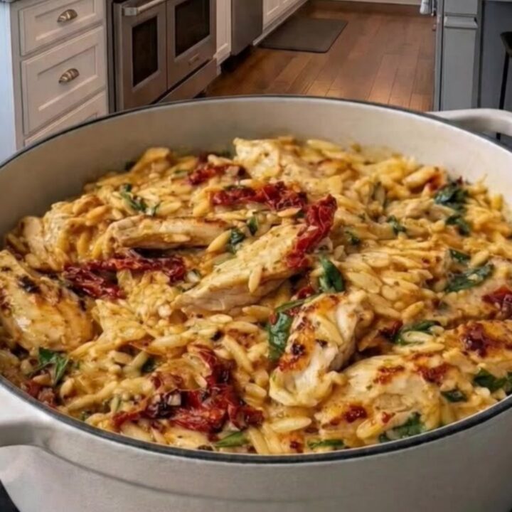 A large white pot filled with creamy orzo, seared golden chicken pieces, sun-dried tomatoes, and wilted spinach.