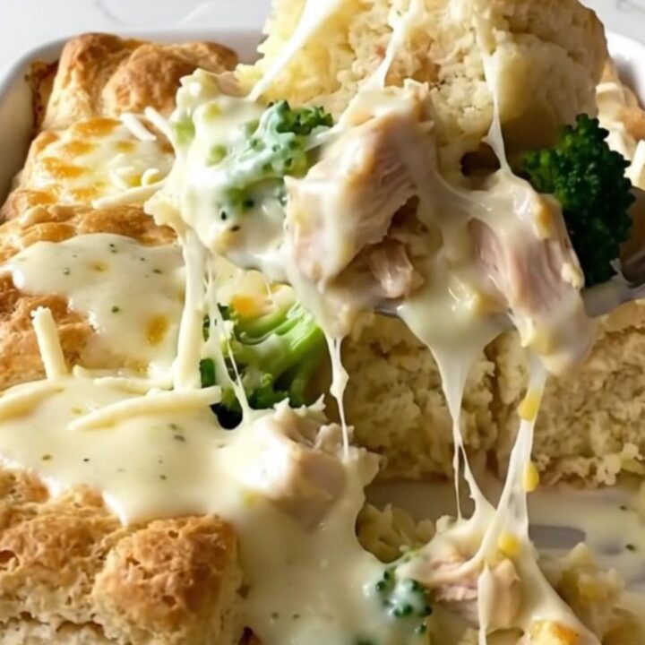 A golden-brown chicken Alfredo biscuit bake in a white ceramic dish on a marble countertop.