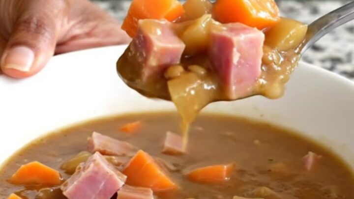A rustic bowl of slow-cooked ham and lentil stew with vibrant carrots and fresh herbs, steaming in bright daylight.