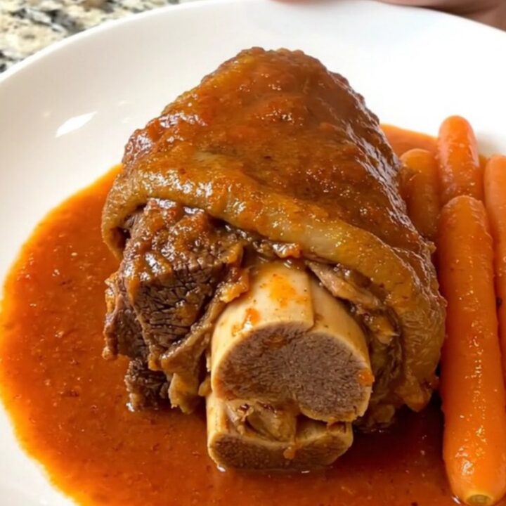 A close-up of a slow-cooked beef shank with a marrow bone, served in a rich tomato gravy on a white plate.