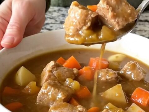 A steaming bowl of pork stew featuring tender pork cubes, potatoes, and carrots in a rich brown gravy.