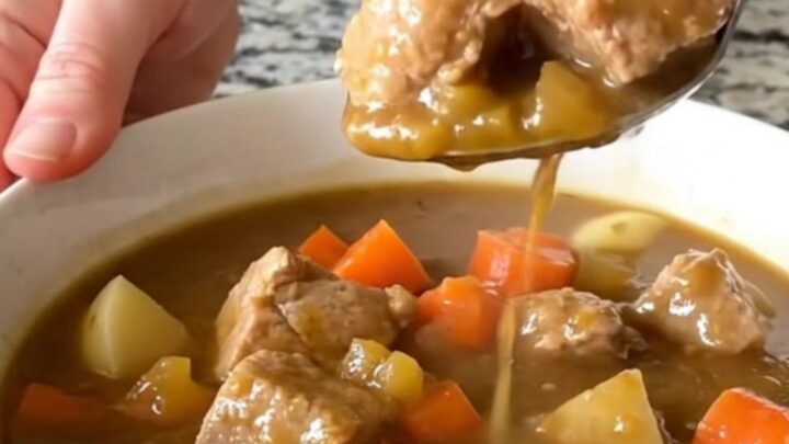 A steaming bowl of pork stew featuring tender pork cubes, potatoes, and carrots in a rich brown gravy.