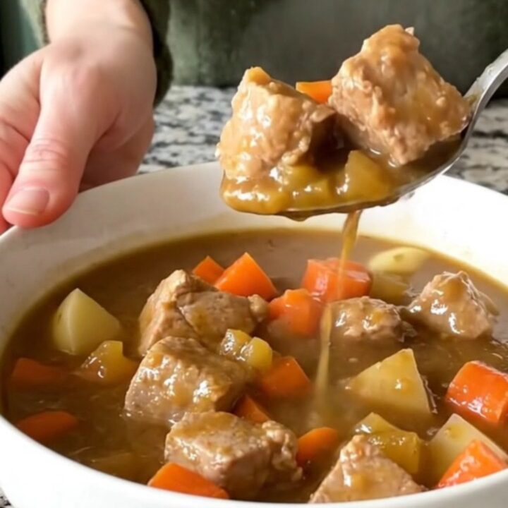 A steaming bowl of pork stew featuring tender pork cubes, potatoes, and carrots in a rich brown gravy.