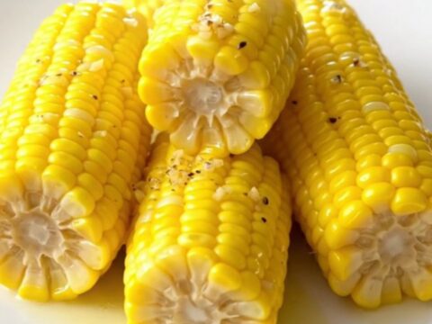 A top-down view of halved raw corn cobs being prepared in a black slow cooker insert.