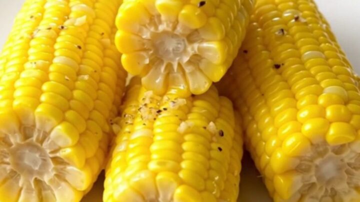 A top-down view of halved raw corn cobs being prepared in a black slow cooker insert.