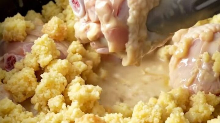 A close-up of tender chicken drumsticks cooked with creamy stuffing in a slow cooker.
