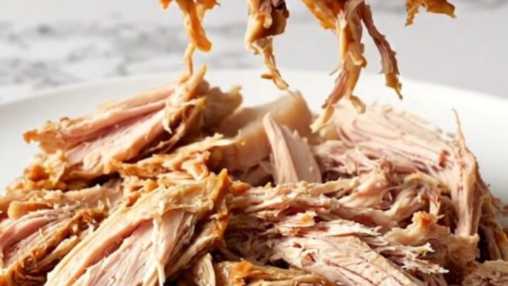 A close-up of tender, shredded cranberry BBQ turkey served on a white plate.